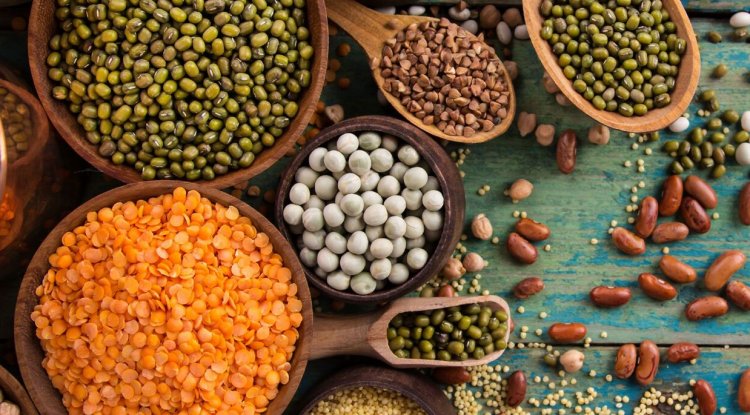 Storage of Pulses, Cereals, Oilseeds, Fruits and Vegetables
